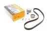 Комплект ременя ГРМ CONTINENTAL CONTITECH CT1056K1