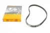 Пас ГРМ Opel Ascona C/Kadett E/Vectra A 1.4/1.6 86 CONTITECH CT558 (фото 1)