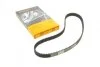Пас ГРМ Mazda 323 1.5i 16V 94-98 (22x125z) CONTITECH CT899 (фото 1)