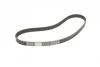 Пас ГРМ Mazda 323 1.5i 16V 94-98 (22x125z) CONTITECH CT899 (фото 4)