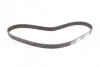 Комплект пасу ГРМ Land Rover 1.8 16V 98-06/Rover 4 CONTITECH CT974 (фото 4)