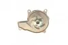 Водяний насос CONTITECH WPS3079 (фото 4)