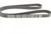 Ремінь генератора поліклиновий DAYCO 4PK1022EE (фото 3)