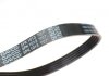 Ремінь 5PK1013 посилений ALFA ROMEO, DAEWOO,FIAT,FORD,MAZDA,OPEL,PEUGEOT,TOYOTA DAYCO 5PK1013HD (фото 2)