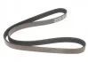 Ремінь 5PK1013 посилений ALFA ROMEO, DAEWOO,FIAT,FORD,MAZDA,OPEL,PEUGEOT,TOYOTA DAYCO 5PK1013HD (фото 3)