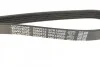 Ремінь генератора поліклиновий DAYCO 5PK1200 (фото 3)