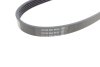 Ремінь генератора поліклиновий DAYCO 5PK875 (фото 3)