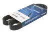 Ремінь генератора поліклиновий DAYCO 6PK1019EE