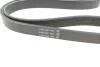 Ремінь генератора поліклиновий DAYCO 6PK1033EE (фото 2)