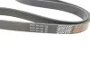 Ремінь генератора поліклиновий DAYCO 6PK1080HD (фото 2)