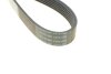 Ремінь генератора поліклиновий DAYCO 6PK1082 (фото 3)