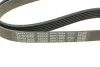 Ремінь генератора поліклиновий DAYCO 6PK1082 (фото 4)