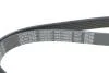 Ремінь генератора поліклиновий DAYCO 6PK1090EE (фото 4)