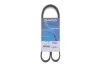 Ремінь генератора поліклиновий DAYCO 6PK1139H (фото 2)