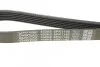 Ремінь генератора поліклиновий DAYCO 6PK1145 (фото 4)