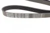 Ремінь генератора поліклиновий DAYCO 6PK1163 (фото 2)