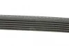 Ремінь генератора поліклиновий DAYCO 6PK1215 (фото 2)