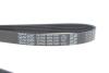 Ремінь DAYCO 6PK1341 (фото 4)
