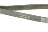 Ремінь генератора поліклиновий DAYCO 6PK1360S (фото 3)