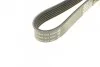 Ремінь генератора поліклиновий DAYCO 6PK1613 (фото 3)