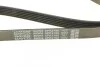 Ремінь генератора поліклиновий DAYCO 6PK2160 (фото 4)