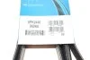 Ремінь генератора поліклиновий DAYCO 6PK2440 (фото 6)