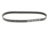 Ремінь генератора поліклиновий DAYCO 6PK905S