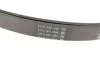 Ремінь генератора поліклиновий DAYCO 7PK2711S (фото 3)