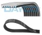 Дорiжковий ремінь DAYCO 8PK1805HD (фото 1)
