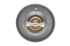 FORD термостат t-88C Mondeo 00-, Transit, Citroen Jumper 06- DAYCO DT1016V (фото 4)