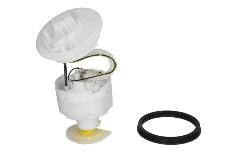 Паливний насос з фільтром DELPHI FG097812B1