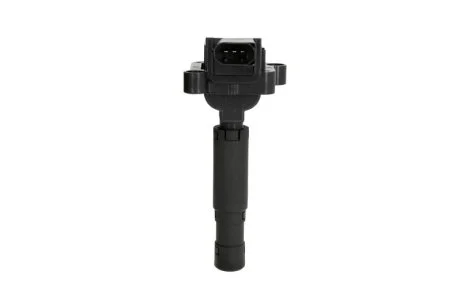 Катушка системи запалювання DELPHI GN1055212B1