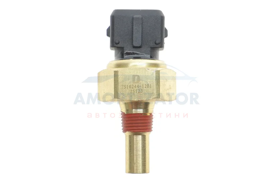 Датчик температури охолоджуючої рідини DELPHI TS1024412B1 (фото 1)