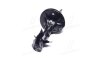 Амортизатор DENCKERMANN DSB224G (фото 2)