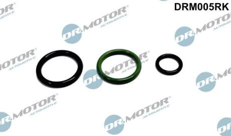 Ремонтний комплект, блок «насос-форсунка» DR.MOTOR DRM005RK