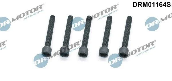 Гвинт, тримач інжекторної форсунки DR.MOTOR DRM01164S (фото 1)