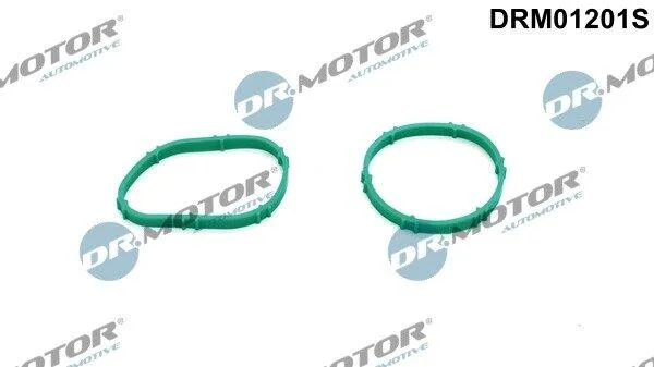 Комплект ущільнень, впускний колектор DR.MOTOR DRM01201S (фото 1)