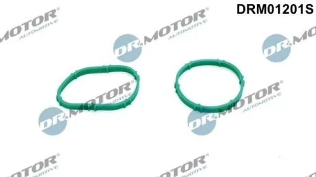 Комплект ущільнень, впускний колектор DR.MOTOR DRM01201S