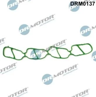 Ущільнення, впускний колектор DR.MOTOR DRM0137