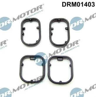 Комплект ущільнень, оливний радіатор DR.MOTOR DRM01403
