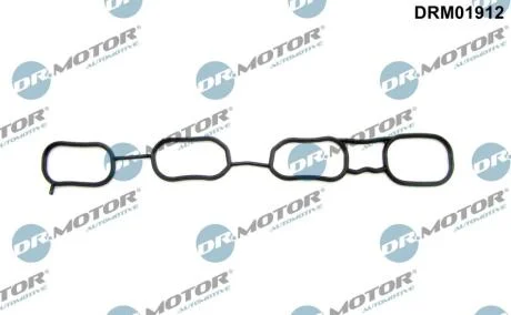 Ущільнення, впускний колектор DR.MOTOR DRM01912