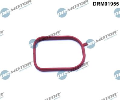 Ущільнення, корпус термостата DR.MOTOR DRM01955