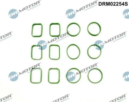 Комплект ущільнень, впускний колектор DR.MOTOR DRM02254S