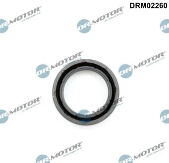 Ущільнювальне кільце, гніздо свічки DR.MOTOR DRM02260