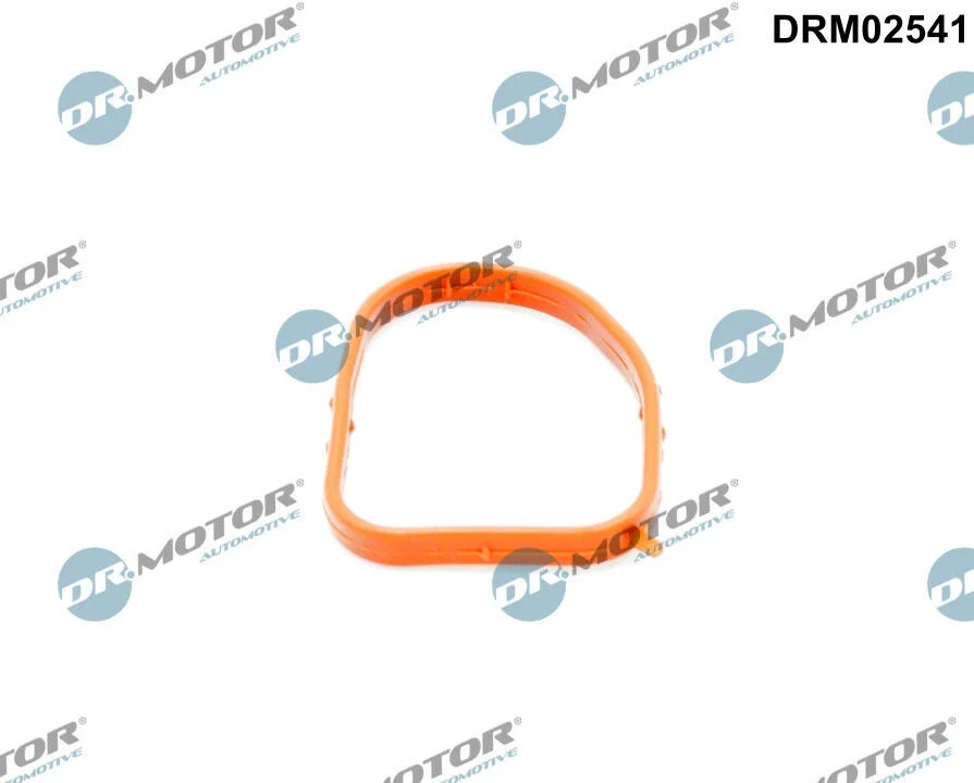Ущільнення, фланець охолоджувальної рідини DR.MOTOR DRM02541 (фото 1)