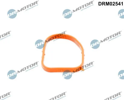 Ущільнення, фланець охолоджувальної рідини DR.MOTOR DRM02541