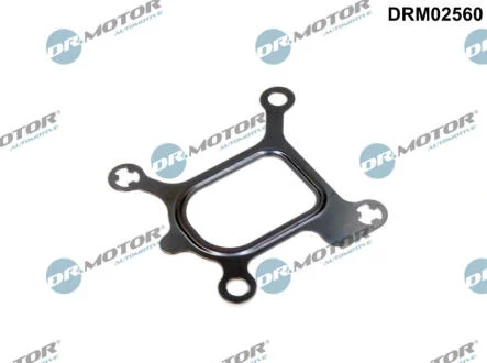 Ущільнення, фланець охолоджувальної рідини DR.MOTOR DRM02560