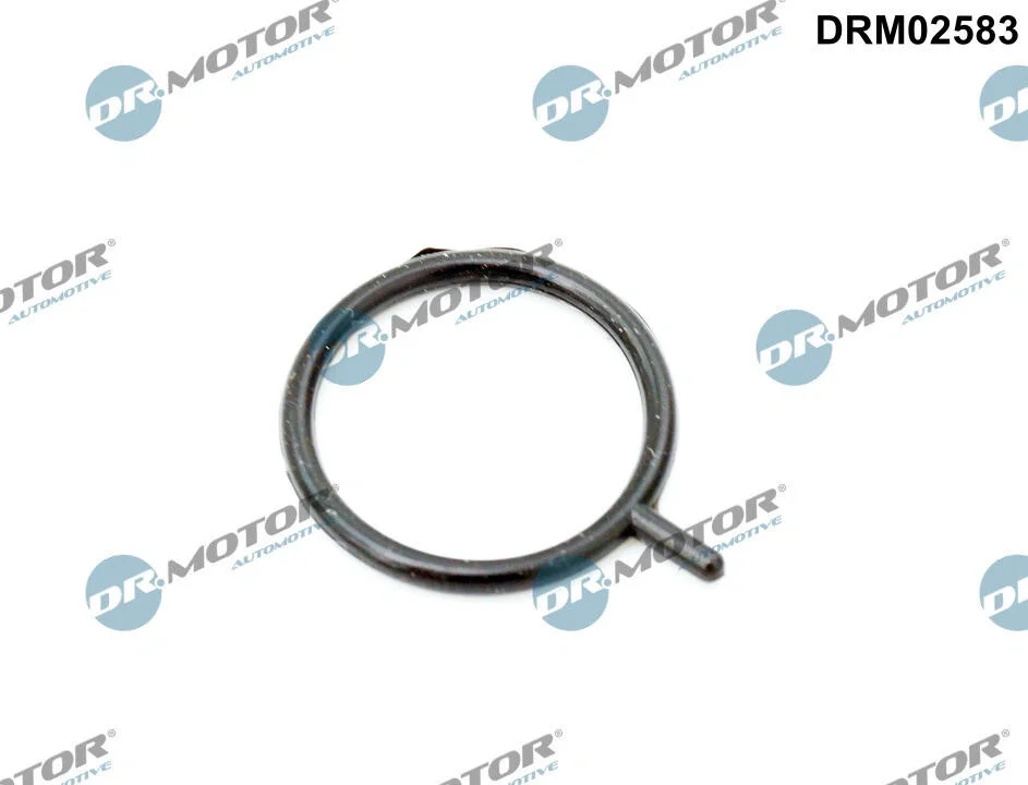 Ущільнювальне кільце, датчик рівня моторної оливи DR.MOTOR DRM02583 (фото 1)