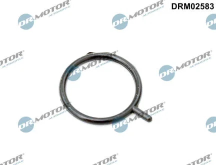 Ущільнювальне кільце, датчик рівня моторної оливи DR.MOTOR DRM02583
