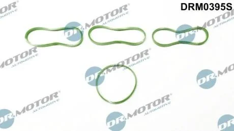 Комплект ущільнень, впускний колектор DR.MOTOR DRM0395S
